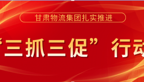  真抓实干促落实  踔厉奋发谋发展 --甘肃物流集团“三抓三促”行动工作综述