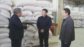  王月成、张铁强在新区综保区公司调研并现场办公