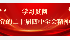  学习贯彻党的二十届四中全会精神 | 甘肃国际物流集团所属企业学习贯彻党的二十届四中全会精神（五）