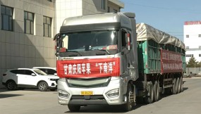  甘肃国际物流集团助力庆阳苹果出口东南亚