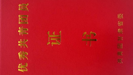 甘肃国际物流集团综保区公司陈雨青获评“甘肃省优秀共青团员”