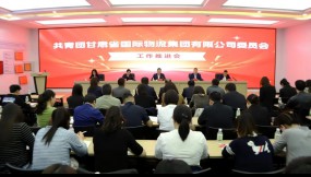  甘肃国际物流集团召开团青工作推进会